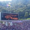 サンフレッチェ・カープ大悪夢。揃って大阪勢に痛恨負け！