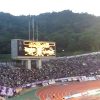 カープとサンフレに足りないものは野生の力か？片寄り緒方監督と慎重ポイチ深く考えろ！