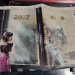 ２０２２年スタート！広島勢はタイトル獲れるか？サンフレ新体制に期待じゃ～！